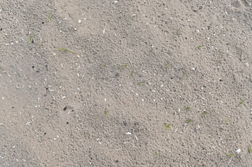 sand background. textured abstract background of river sand