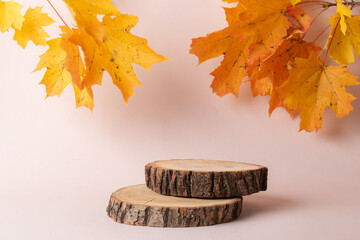 Autumn podium made of natural wood and autumn maple leaves on a beige background. Showcase, product...