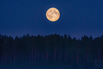 full moon over the forest