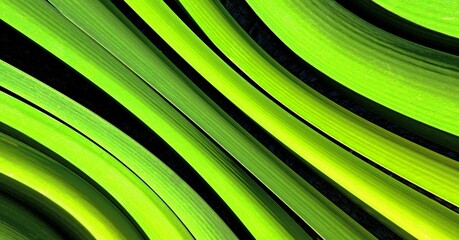 Naturalne rośliny bagienne. © grzegorz