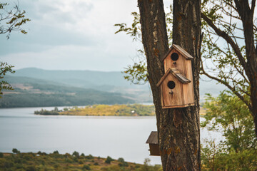 wooden bird house
