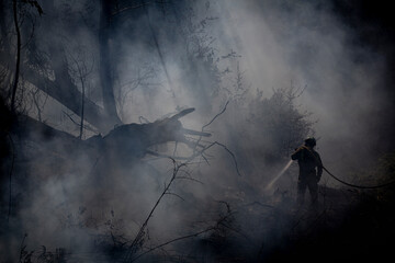 A forestry brigade participate in the extinction of a forest fire in Galicia