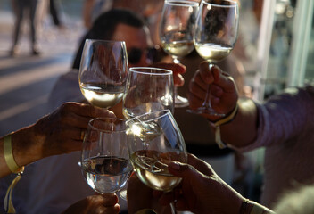 A group of people toast with crystal glasses with albariño wine, white wine