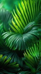 A detailed view of a lush green plant displaying intricate textures in a tropical environment