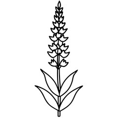 Vector Illustration of Larkspur Flowers Featuring Tall Spikes and Detailed Intricate Blooms
