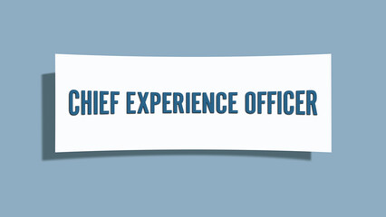 Chief Experience Officer. A card isolated on blue background.