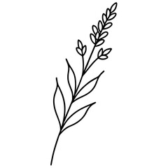 Elegant Sage Sprig Vector Design Showcasing Small Delicate Purple Blooms
