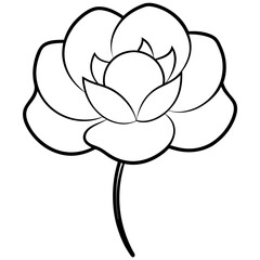 Explore the Charm of Buttercup Flowers with a Delightful Vector Art Design
