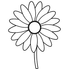 Stunning Large Gerbera Daisy Vector Design Showcasing a Textured Round Center
