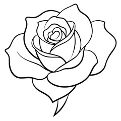 A Beautiful Vector Illustration of a Detailed Line Art Blooming Rose Design
