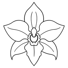 A Detailed Vector Illustration Featuring the Graceful Cattleya Orchid in Its Natural Habitat
