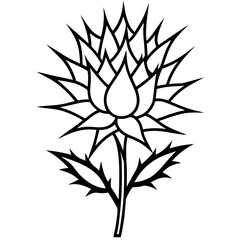 Striking Thistle Flower Vector Design Showcasing Bold Spiky Petals for Creative Projects

