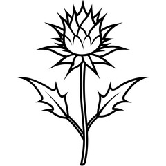Bold Thistle Flower Vector Illustration with Vibrant Spiky Petals for Stunning Floral Designs
