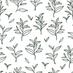Tea leaves pattern. Hand drawn branches and leaves on white background.