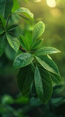 A close-up of lush green leaves with intricate textures against a vibrant tropical backdrop