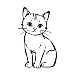 Fototapeta premium Cat