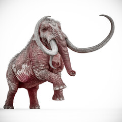 Obraz premium mammoth is angry in white background