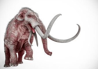 mammoth with copy space in white background