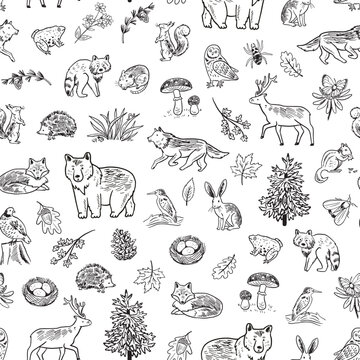Forest animals woodland vector line seamless pattern.