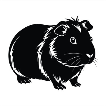 black guinea pig standing, white outline clip art preview