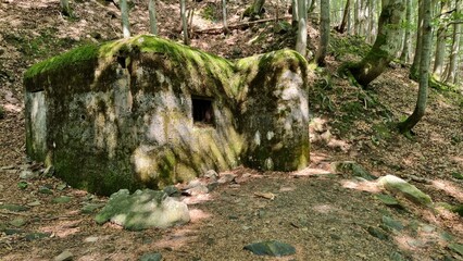 bunker in the forest near spindleruv mlyn