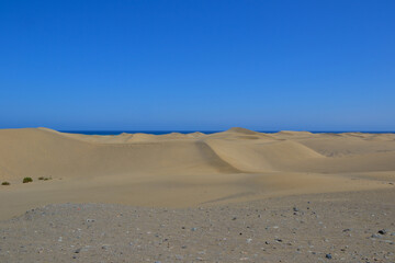 The Maspalomas Dunes (spanish: Dunas de Maspalomas). Sand dunes located on the south coast of the island of Gran Canaria, Spain