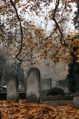 Old blank cemetery tombstones on a fall day.