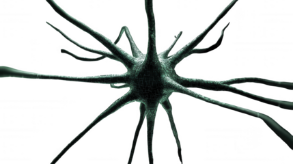 Microscopic Neuron Structure isolated on Transparent Background PNG