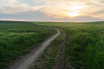El camino