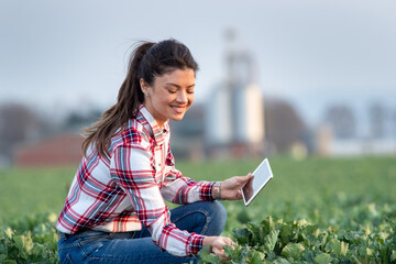 Farmer woman with tablet in sugar beet field