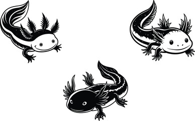 Axolot animal  vector art illustration