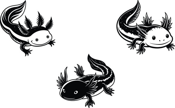 Axolot animal  vector art illustration