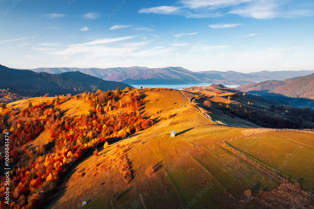 Aufkleber gorgeous autumn slopes from a bird's eye view are illuminated by warm sunlight. carpathian mountains