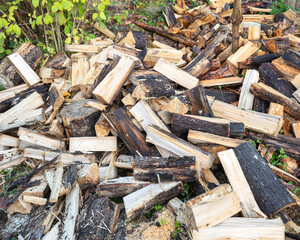 A pile of firewood, the process of storing fuel for heating for the winter.