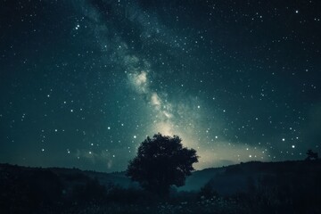 Fototapeta premium Starry Night Sky with Tree Silhouette in Landscape
