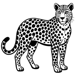 cheetah vector illustration