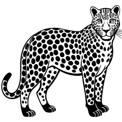leopard vector illustration