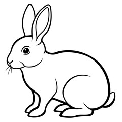 illustration of a rabbit with white background