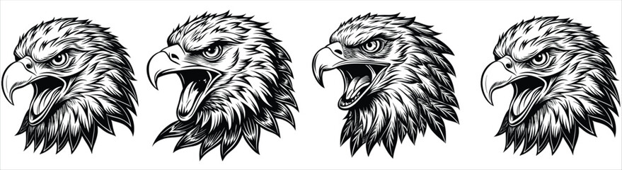 Angry eagle Set