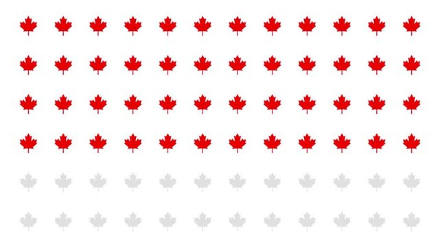 Icons of maple increasing from left to right, changing colors as they overlap. Symbolizing Canada and Canadian identity. 4K pictogram motion graphic with blur and opacity animations