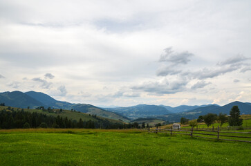 Obraz premium Dirt path leading towards thelush green valley with hills and rural houses, flanked by dense patches of trees under a vast blue sky dotted with scattered clouds. Carpathian mountains, Ukraine