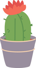 Cacti flower houseplant. Decorative home greenery icon