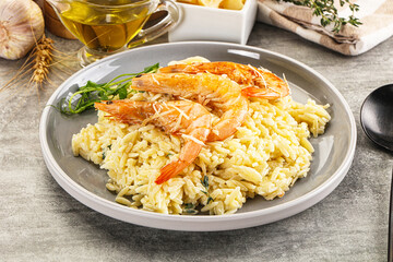 Italian pasta Orzo with prawn