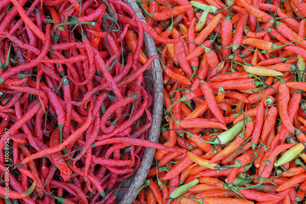 Poster two different types of red chilies with abstract shapes, patterns and textures. pile of red chilies 