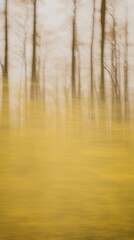 Yellow forest outdoors nature plant.