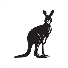 kangaroo illustration,animal, cartoon, vector, illustration, donkey, mammal