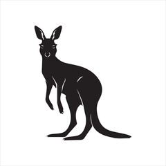 kangaroo illustration,animal, cartoon, vector, illustration, donkey, mammal