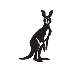 kangaroo illustration, animal, rabbit, cartoon, vector, illustration, bunny, kangaroo, donkey, mammal, hare, funny, easter, cute, art, silhouette, isolated, drawing, nature, white, character, farm, 