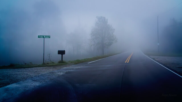Foggy Morning Drive