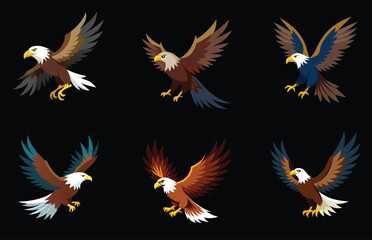 Obraz premium Birds of prey White tailed eagle haliaeetus albicilla isolated on white background flying juvenile bird mix four birds